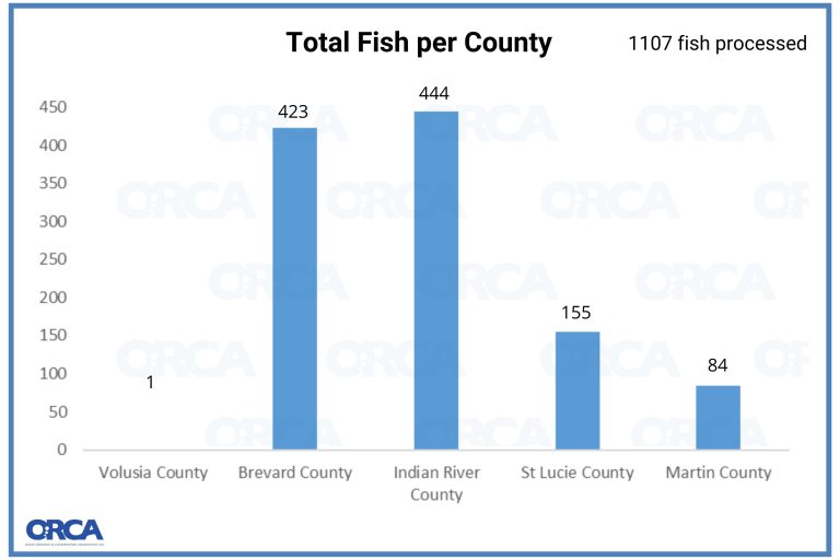 Total fish donated by county